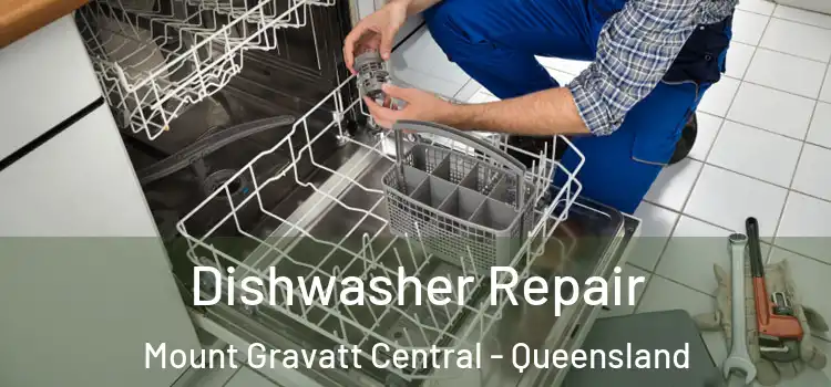 Dishwasher Repair Mount Gravatt Central - Queensland