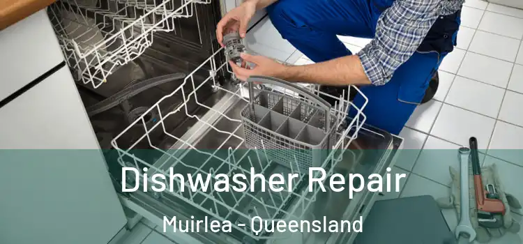Dishwasher Repair Muirlea - Queensland