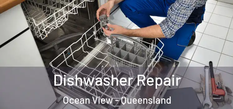 Dishwasher Repair Ocean View - Queensland