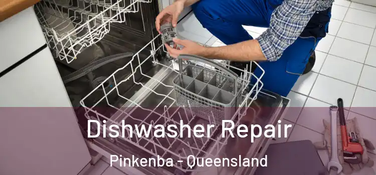 Dishwasher Repair Pinkenba - Queensland