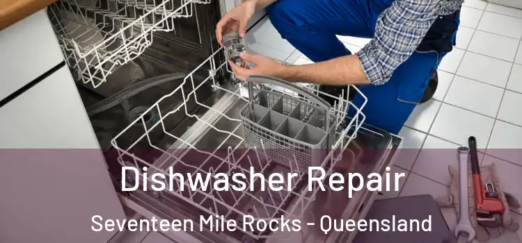 Dishwasher Repair Seventeen Mile Rocks - Queensland