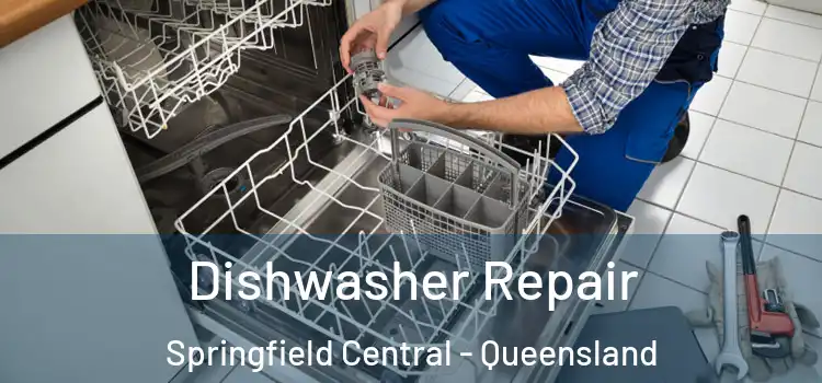 Dishwasher Repair Springfield Central - Queensland