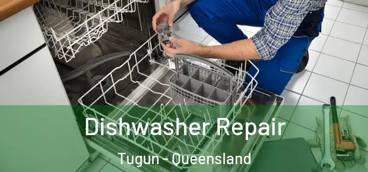 Dishwasher Repair Tugun - Queensland