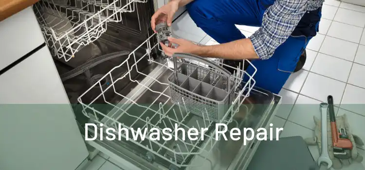 Dishwasher Repair 