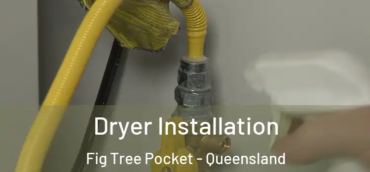 Dryer Installation Fig Tree Pocket - Queensland