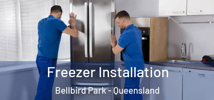Freezer Installation Bellbird Park - Queensland