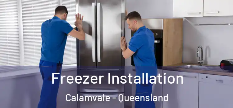 Freezer Installation Calamvale - Queensland