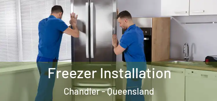 Freezer Installation Chandler - Queensland