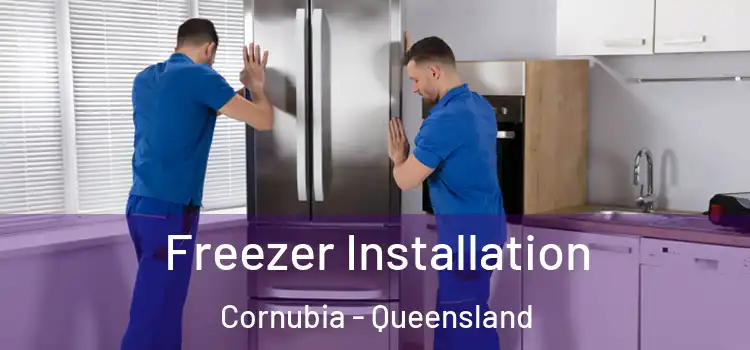 Freezer Installation Cornubia - Queensland