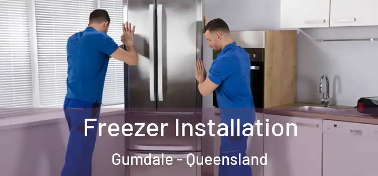 Freezer Installation Gumdale - Queensland