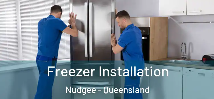 Freezer Installation Nudgee - Queensland