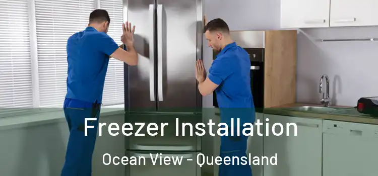 Freezer Installation Ocean View - Queensland
