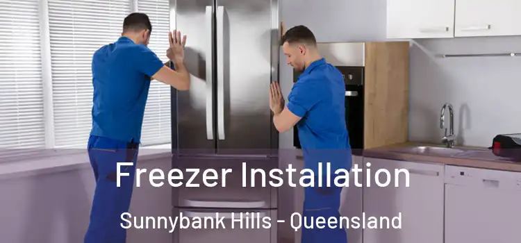 Freezer Installation Sunnybank Hills - Queensland