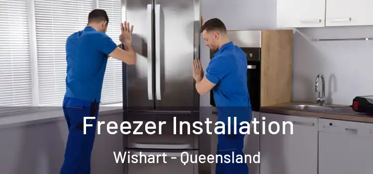 Freezer Installation Wishart - Queensland
