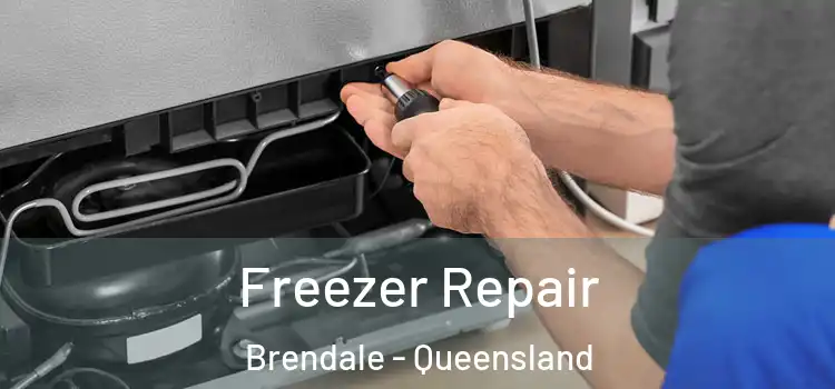 Freezer Repair Brendale - Queensland