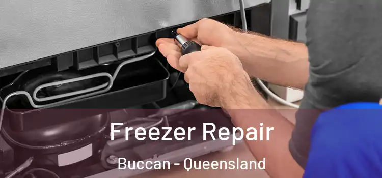 Freezer Repair Buccan - Queensland