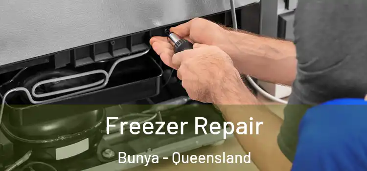 Freezer Repair Bunya - Queensland