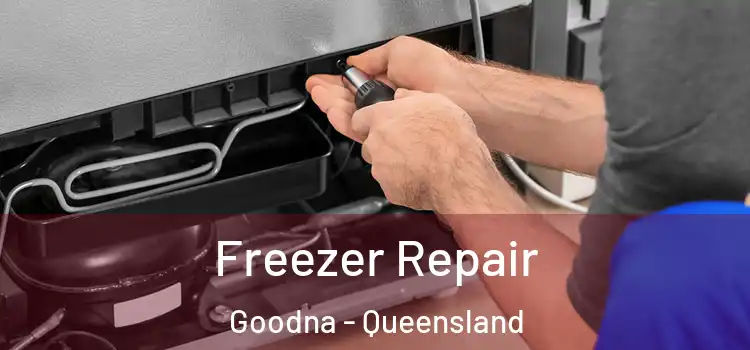 Freezer Repair Goodna - Queensland