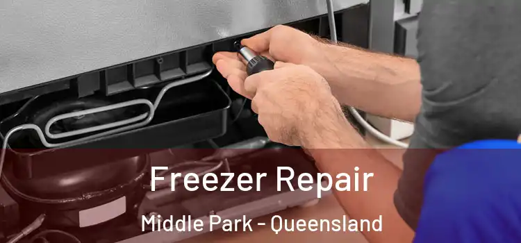 Freezer Repair Middle Park - Queensland