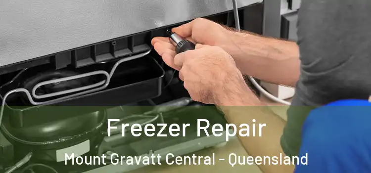 Freezer Repair Mount Gravatt Central - Queensland