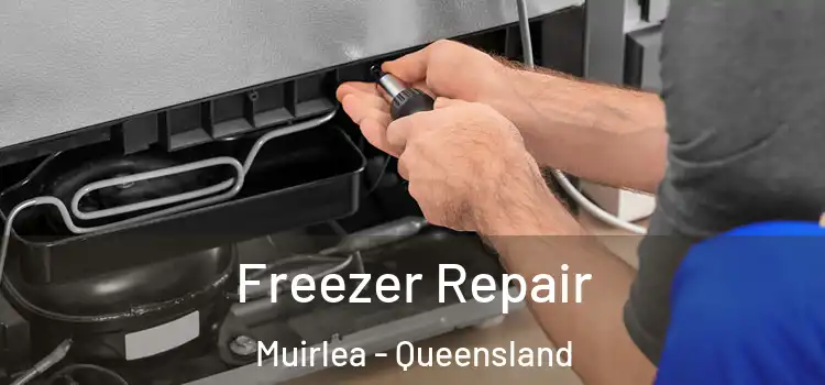 Freezer Repair Muirlea - Queensland