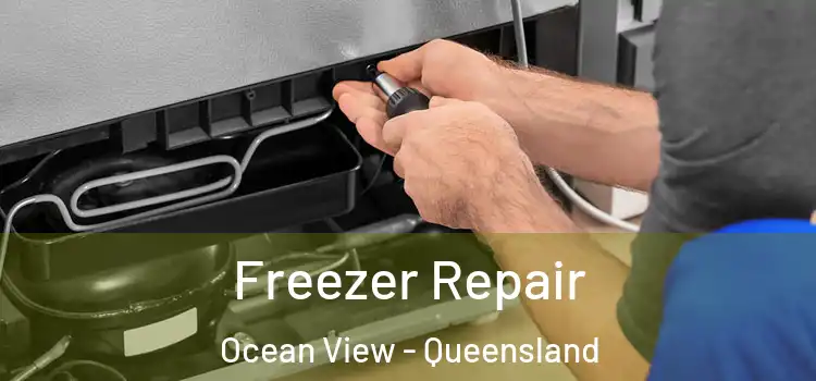 Freezer Repair Ocean View - Queensland