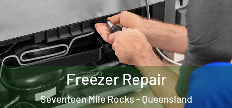Freezer Repair Seventeen Mile Rocks - Queensland