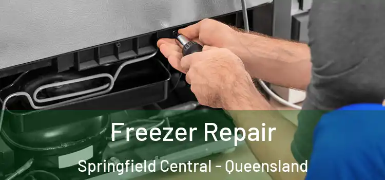 Freezer Repair Springfield Central - Queensland