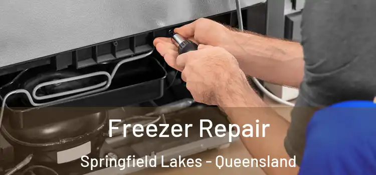 Freezer Repair Springfield Lakes - Queensland