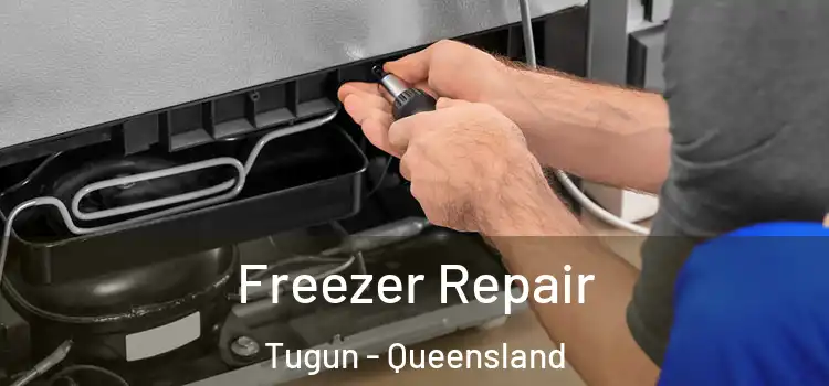 Freezer Repair Tugun - Queensland