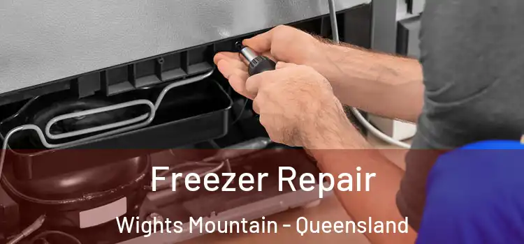 Freezer Repair Wights Mountain - Queensland