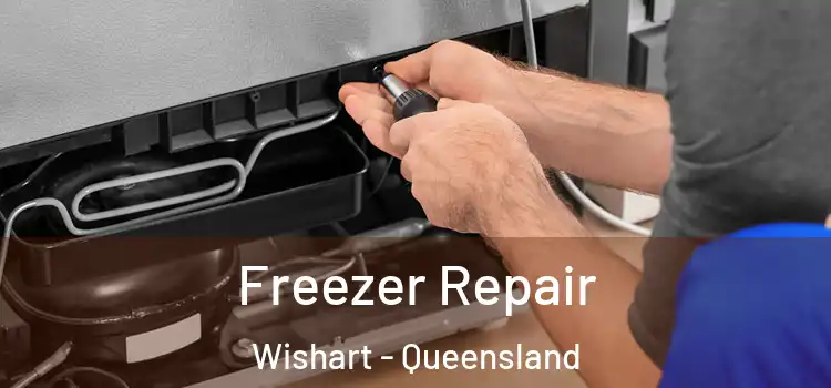 Freezer Repair Wishart - Queensland