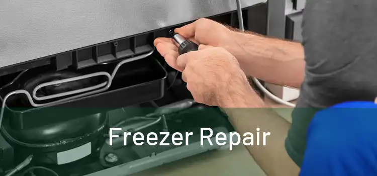Freezer Repair 