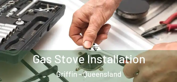 Gas Stove Installation Griffin - Queensland