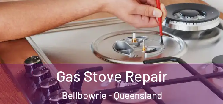 Gas Stove Repair Bellbowrie - Queensland