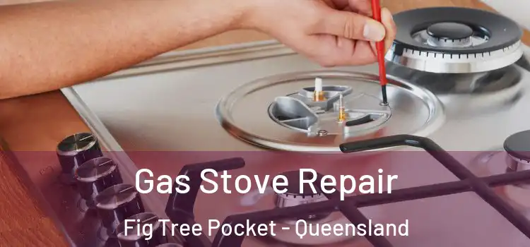 Gas Stove Repair Fig Tree Pocket - Queensland