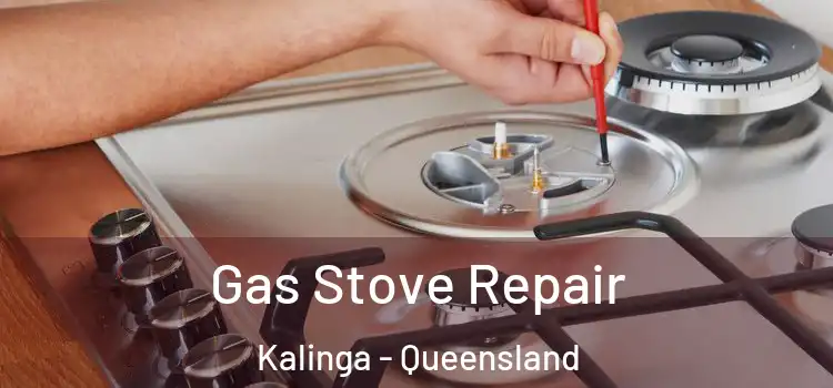 Gas Stove Repair Kalinga - Queensland