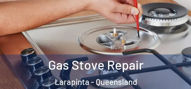 Gas Stove Repair Larapinta - Queensland