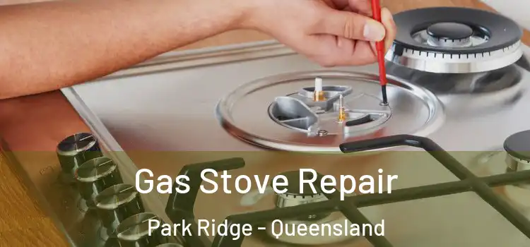 Gas Stove Repair Park Ridge - Queensland