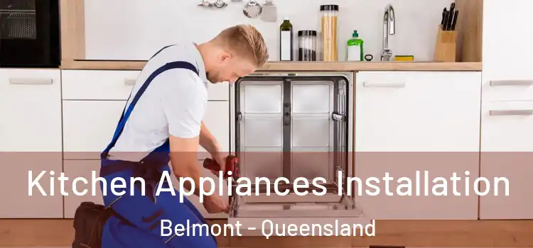 Kitchen Appliances Installation Belmont - Queensland
