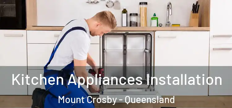 Kitchen Appliances Installation Mount Crosby - Queensland
