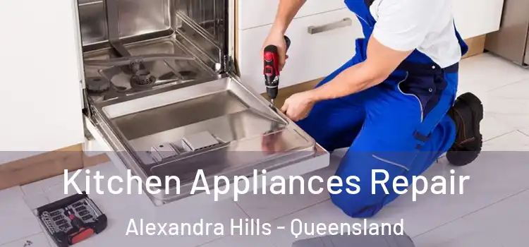 Kitchen Appliances Repair Alexandra Hills - Queensland
