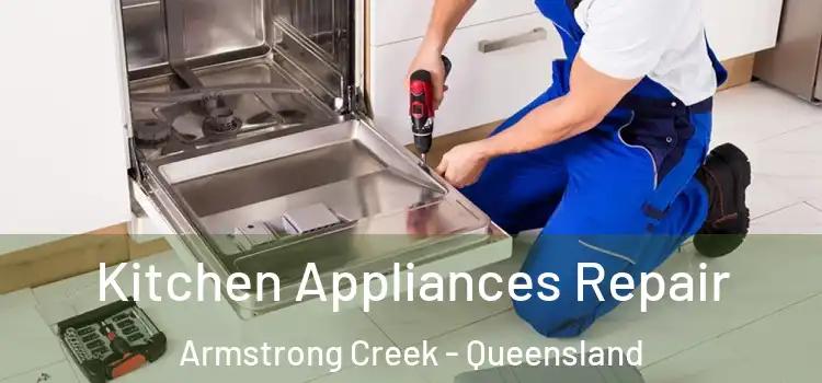 Kitchen Appliances Repair Armstrong Creek - Queensland