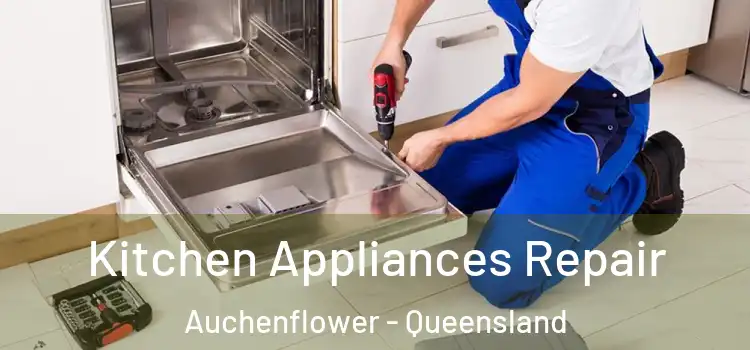 Kitchen Appliances Repair Auchenflower - Queensland