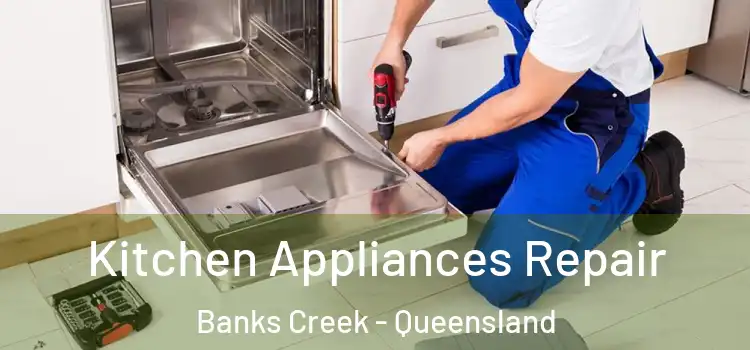 Kitchen Appliances Repair Banks Creek - Queensland