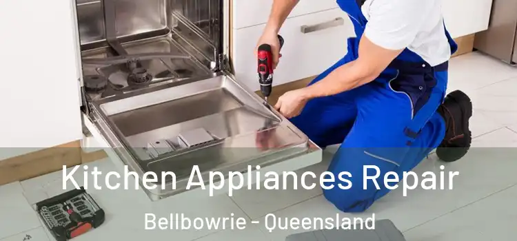 Kitchen Appliances Repair Bellbowrie - Queensland
