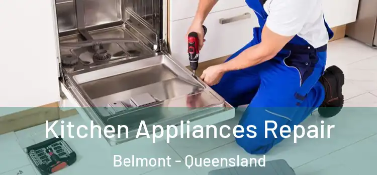 Kitchen Appliances Repair Belmont - Queensland