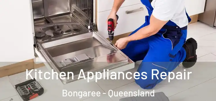Kitchen Appliances Repair Bongaree - Queensland