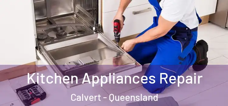 Kitchen Appliances Repair Calvert - Queensland