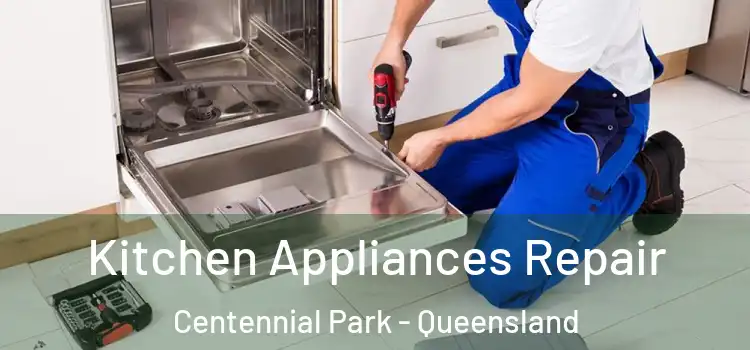 Kitchen Appliances Repair Centennial Park - Queensland